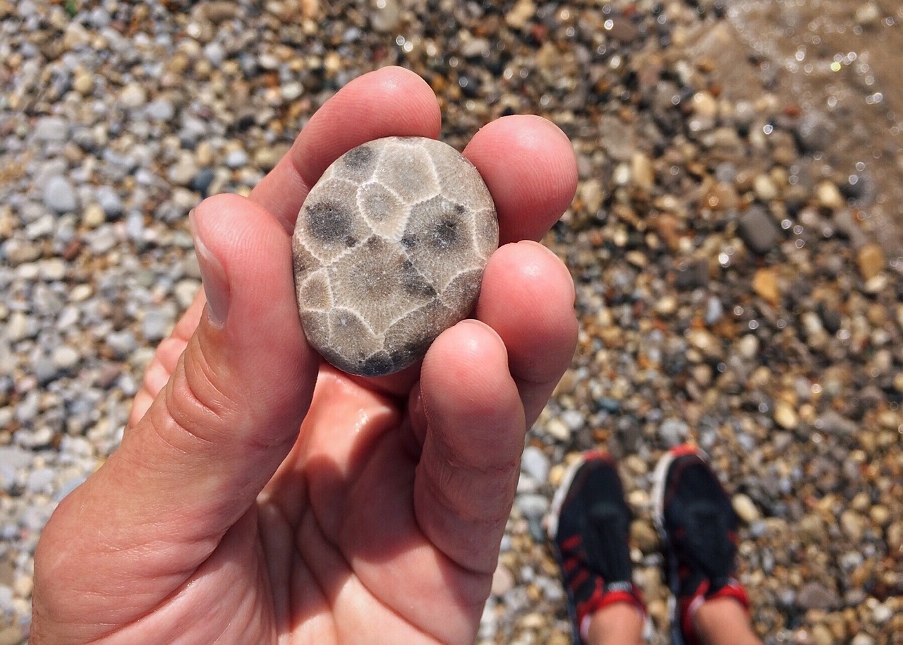 rock hunting stone free photo