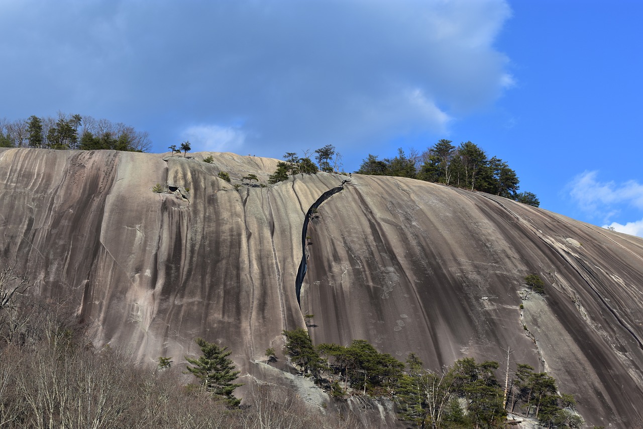 Download free photo of Rock,mountain,stone,summer,forest - from needpix.com