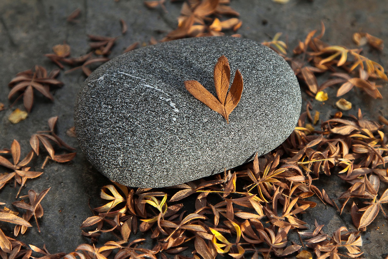 rock leaves autumn free photo