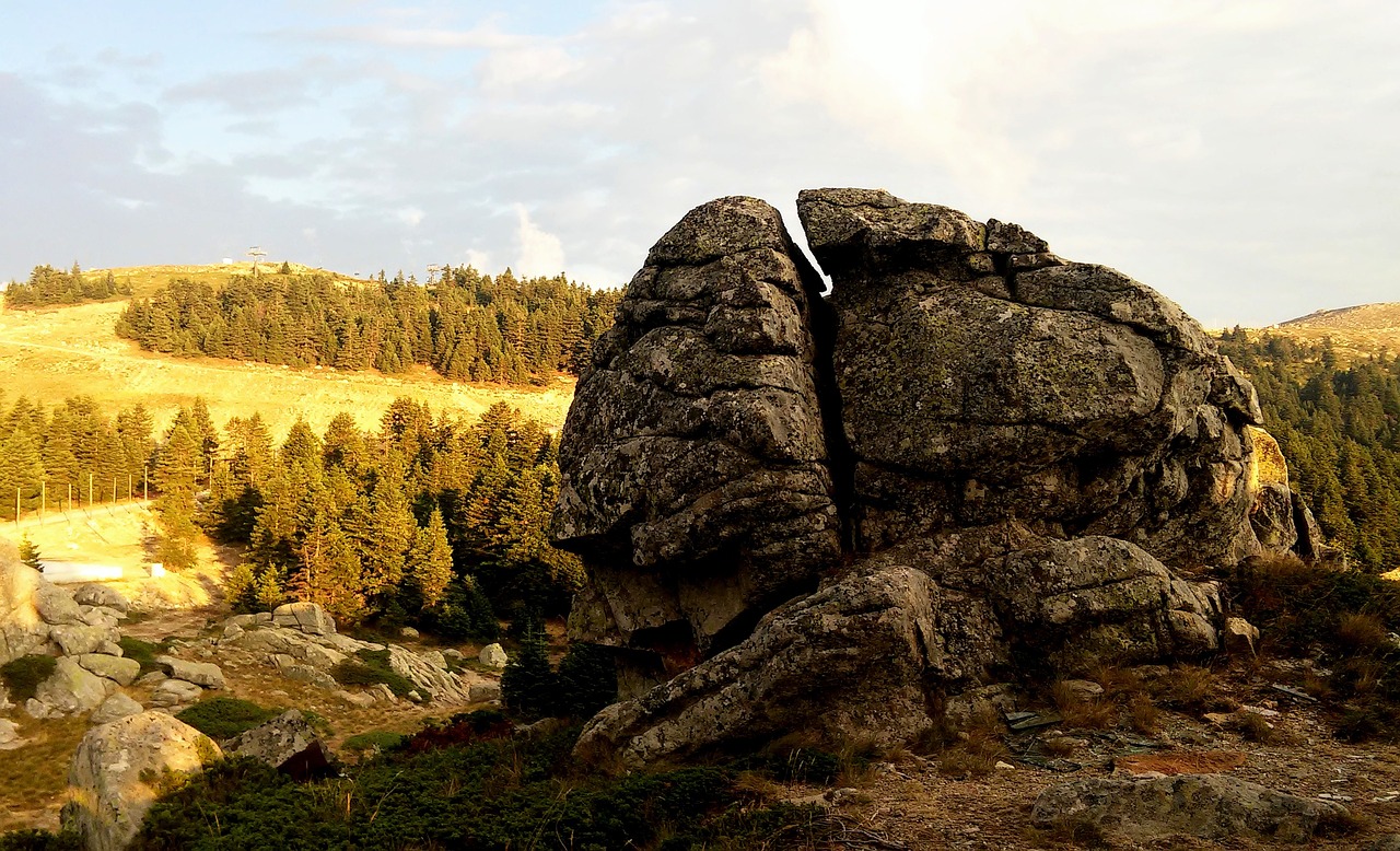 rock cliff trees free photo