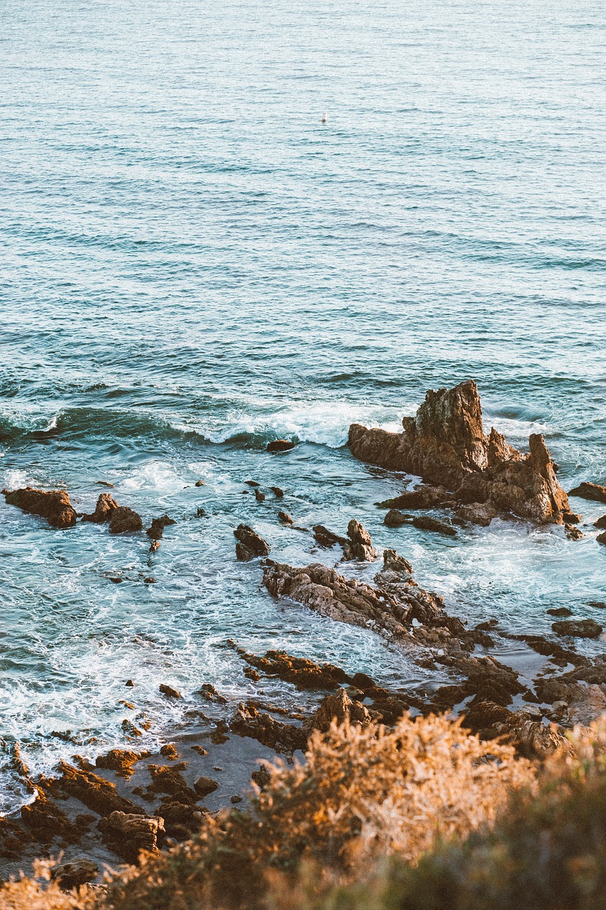 rock formation sea free photo