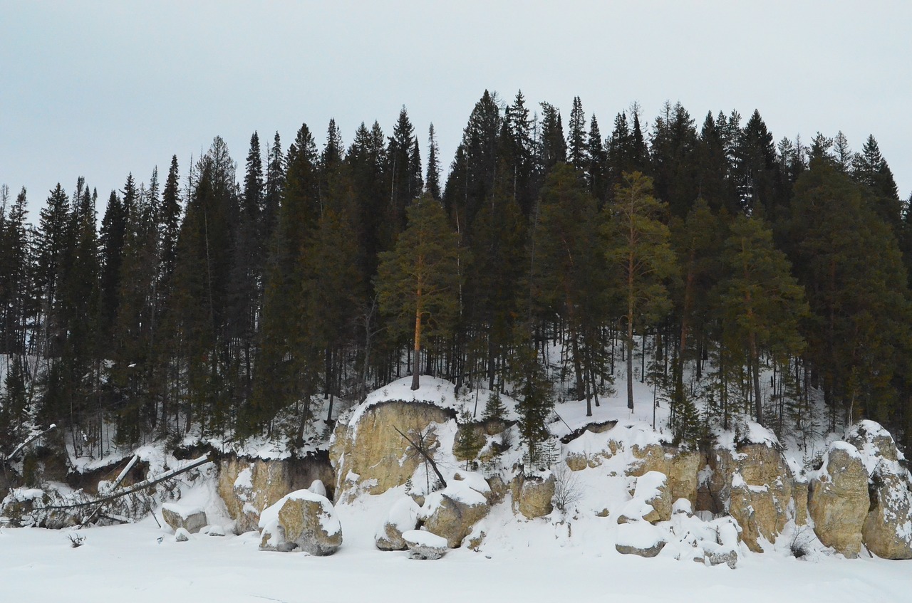 rock forest nature free photo