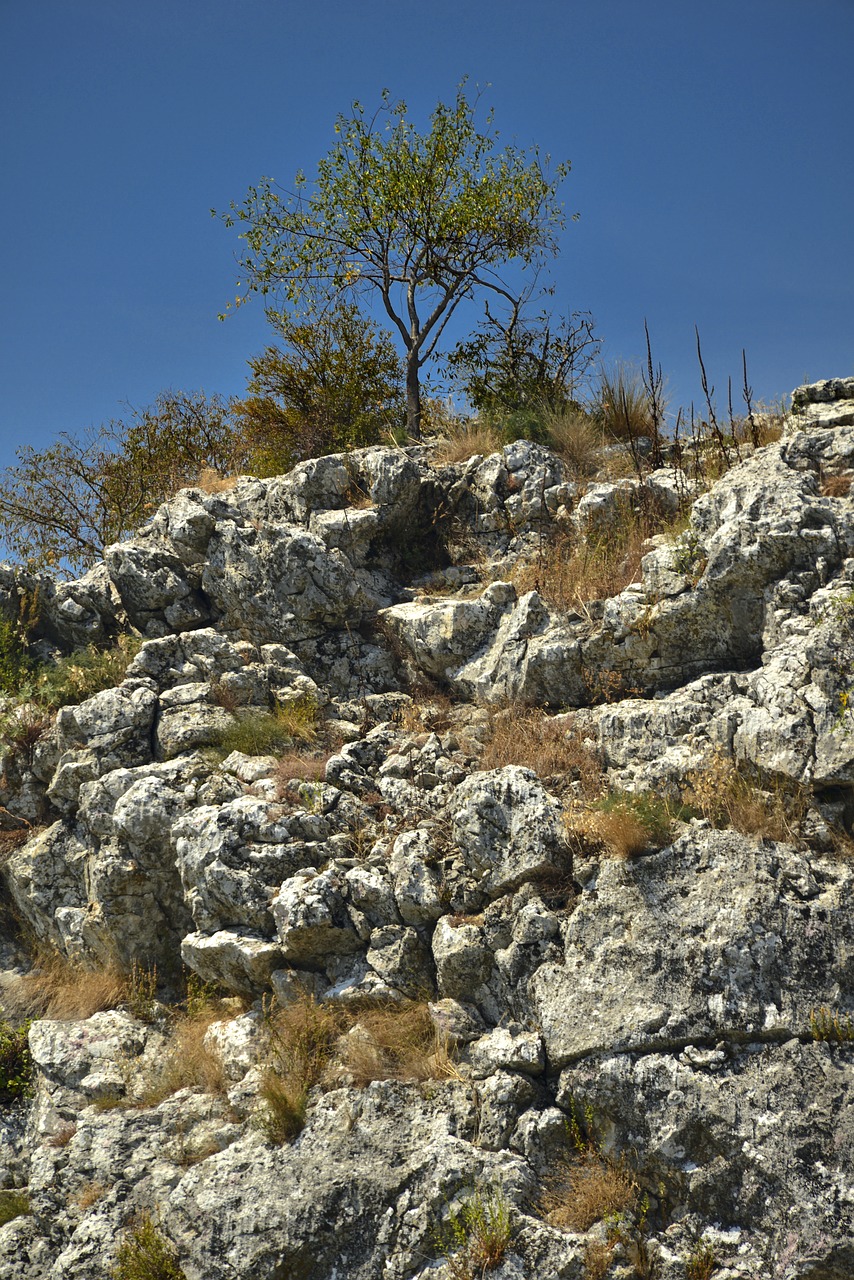 rock nature stone free photo