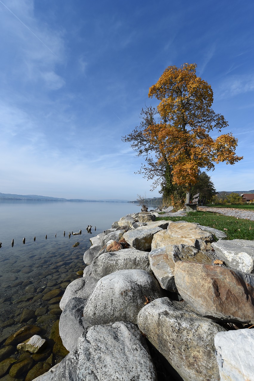 rock nature waters free photo