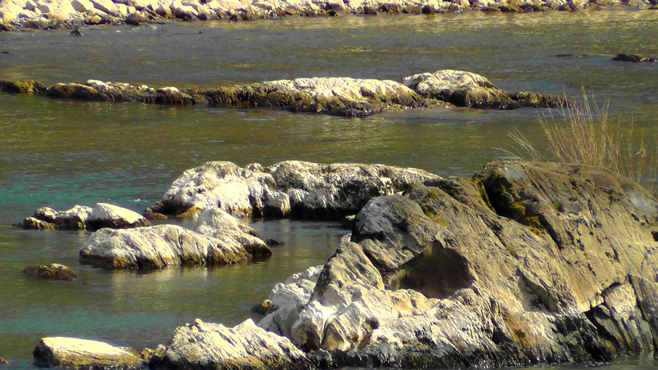 rock rhine river free photo
