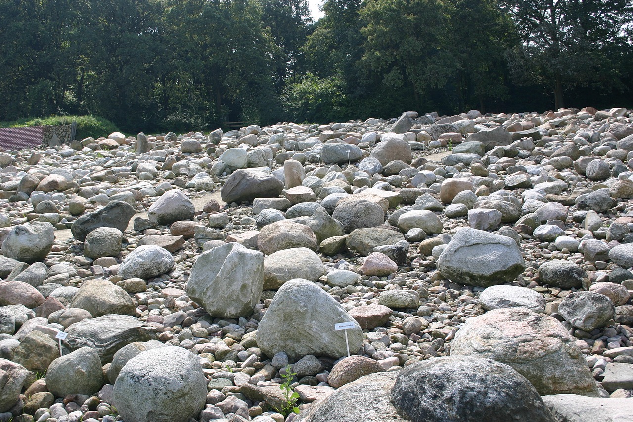 rock  boulders  hunebedcentrum free photo