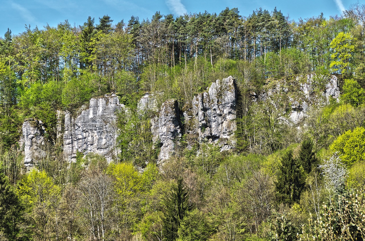 rock  trees  landscape free photo