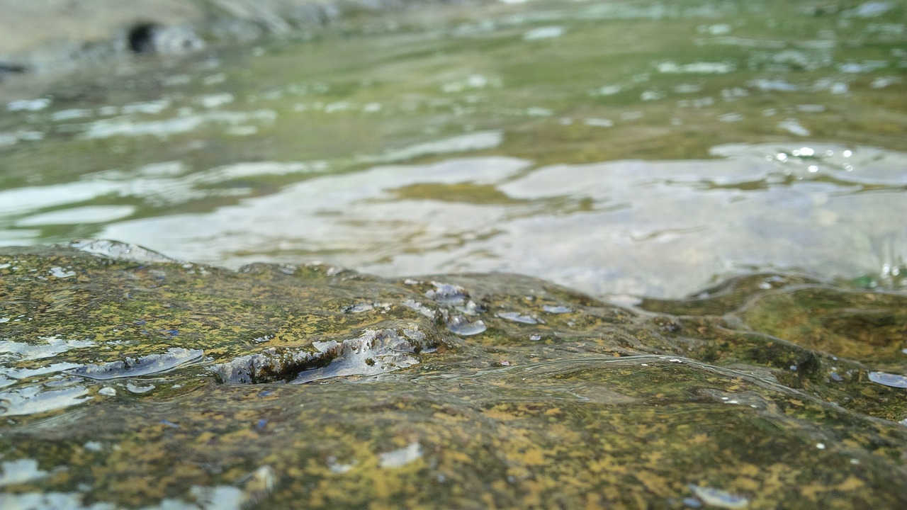 rock  water  nature free photo