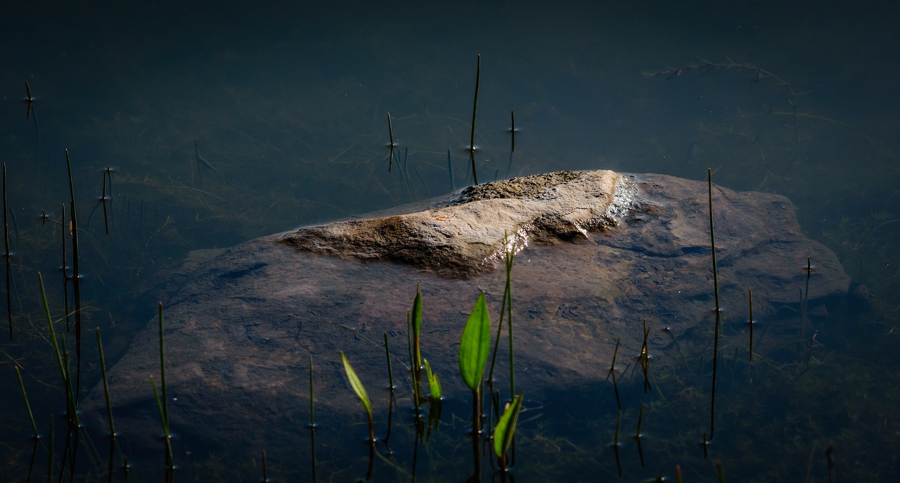 rock  water  stone free photo