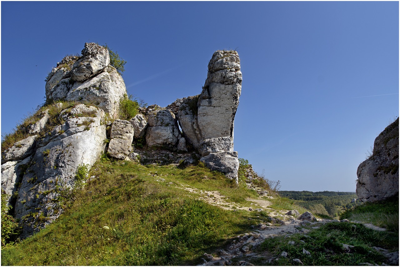 rock  landscape  grass free photo