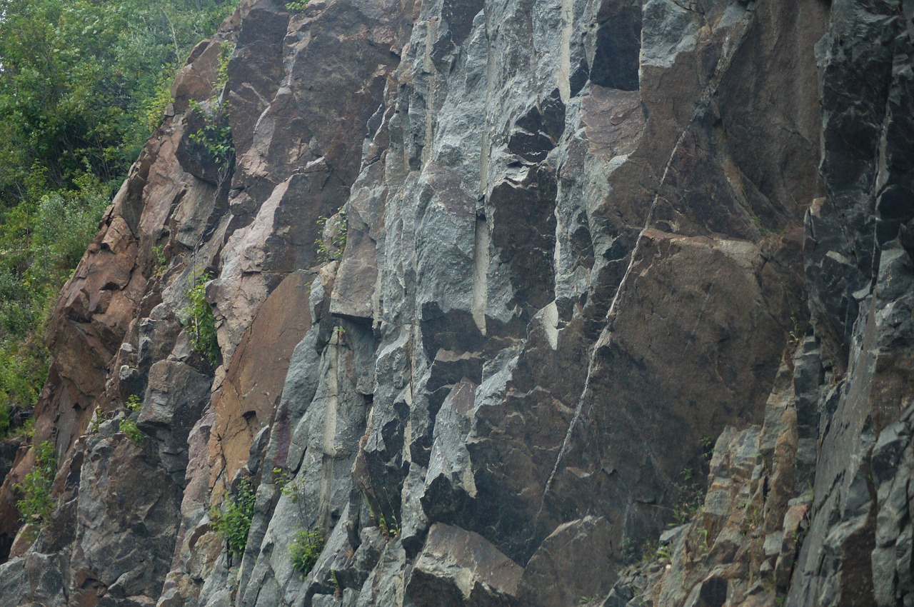 rock  forest  nature free photo