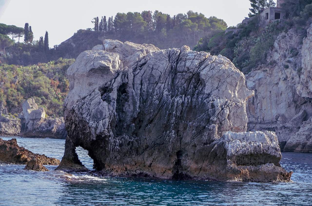 rock  elephant  sea free photo