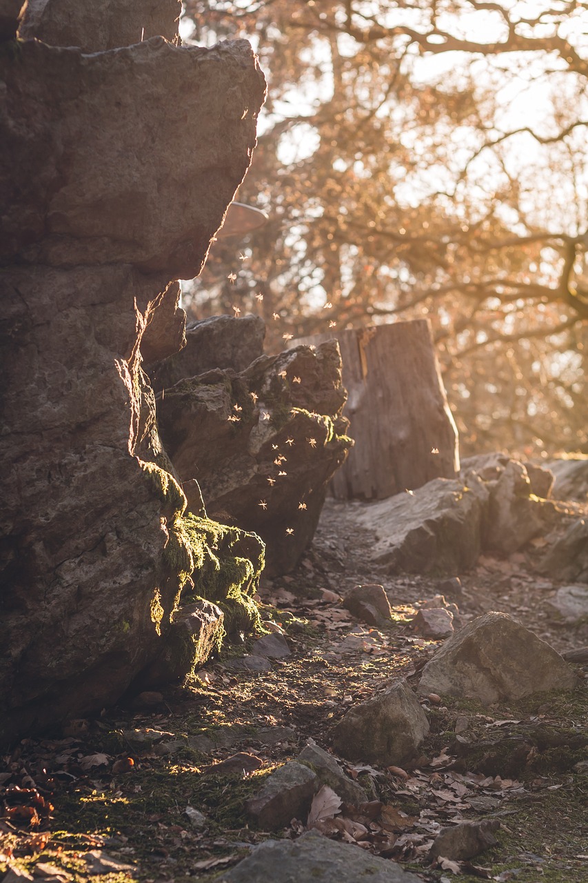 rock  flying  sun free photo