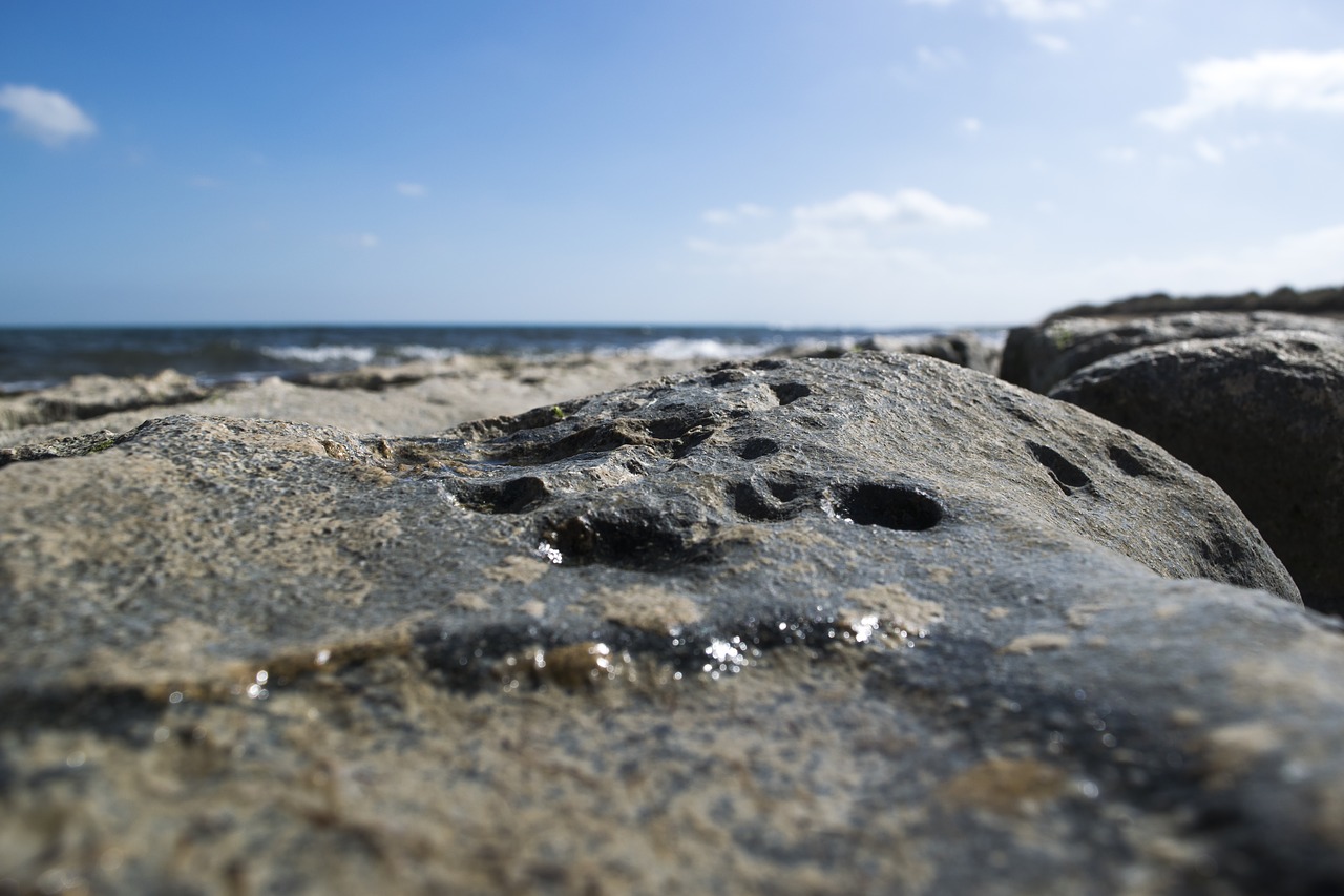 rock  rocks  water free photo