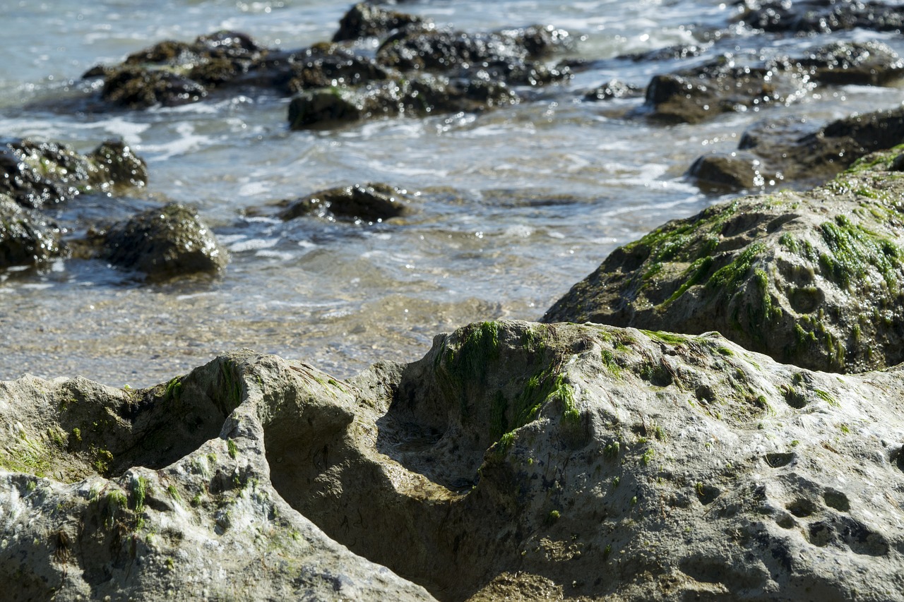 rock  beach  sea free photo