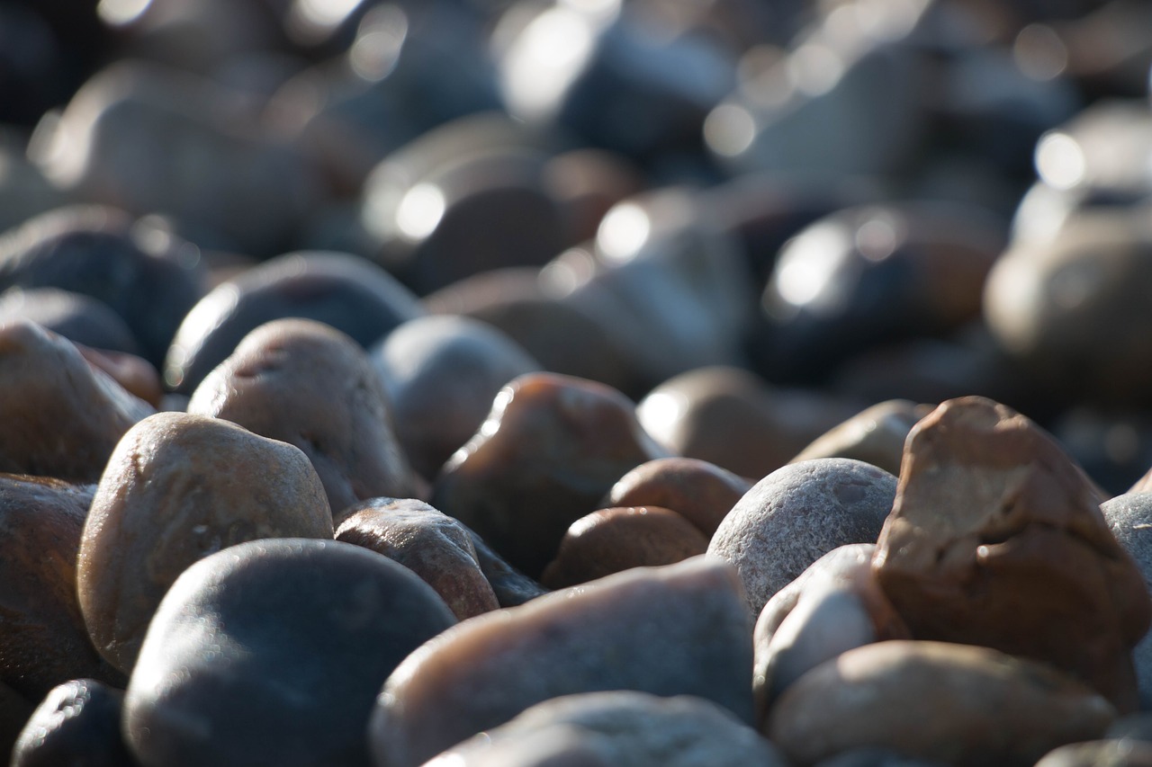 rock  pebble  beach free photo