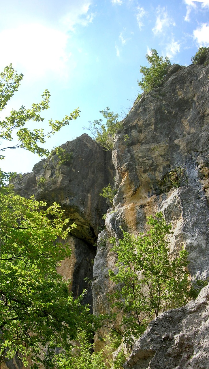 rock trees italy free photo