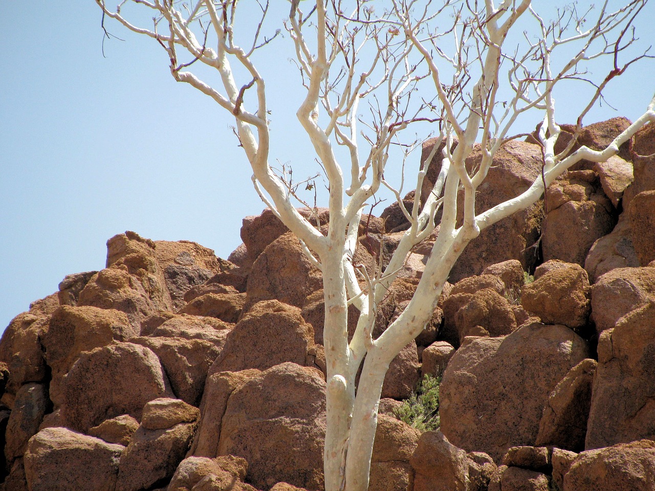 rock desert namibia free photo