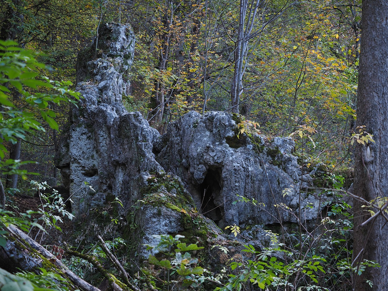 rock forest goods steiner waterfalls free photo