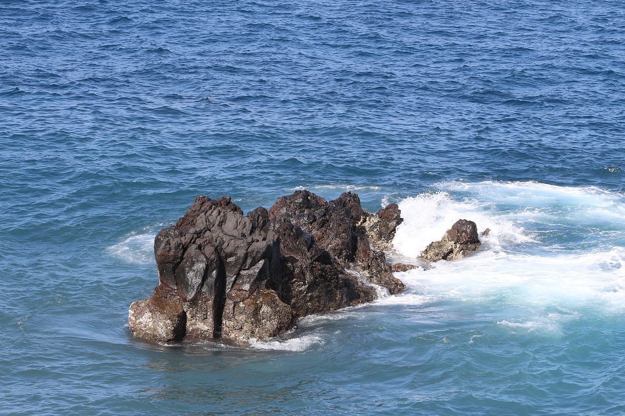 rock spray surf free photo