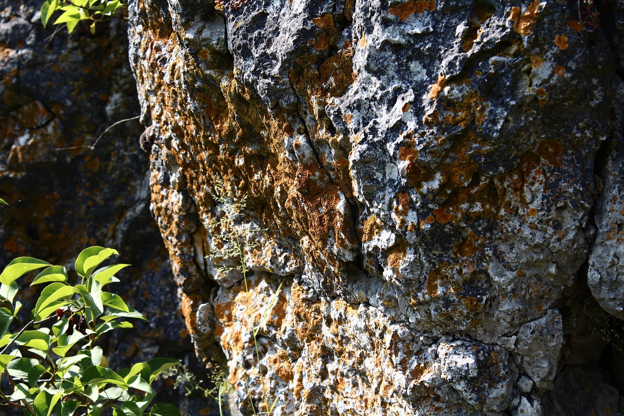 rock moss stone free photo
