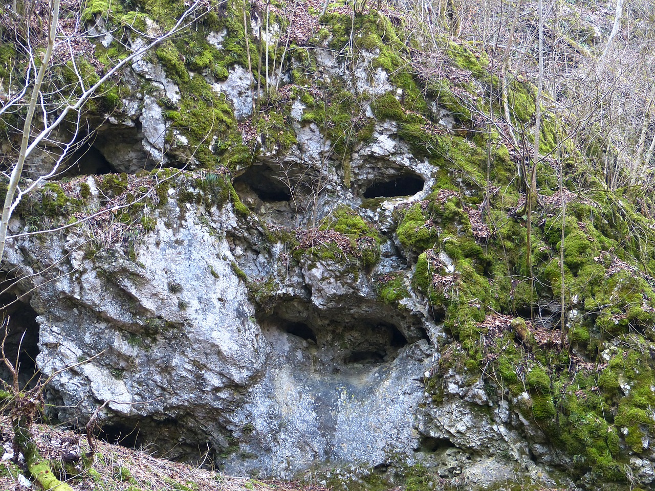 rock cave face free photo