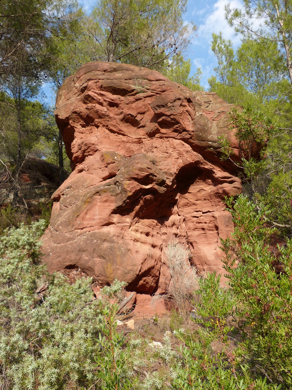 rock red sandstone erosion free photo