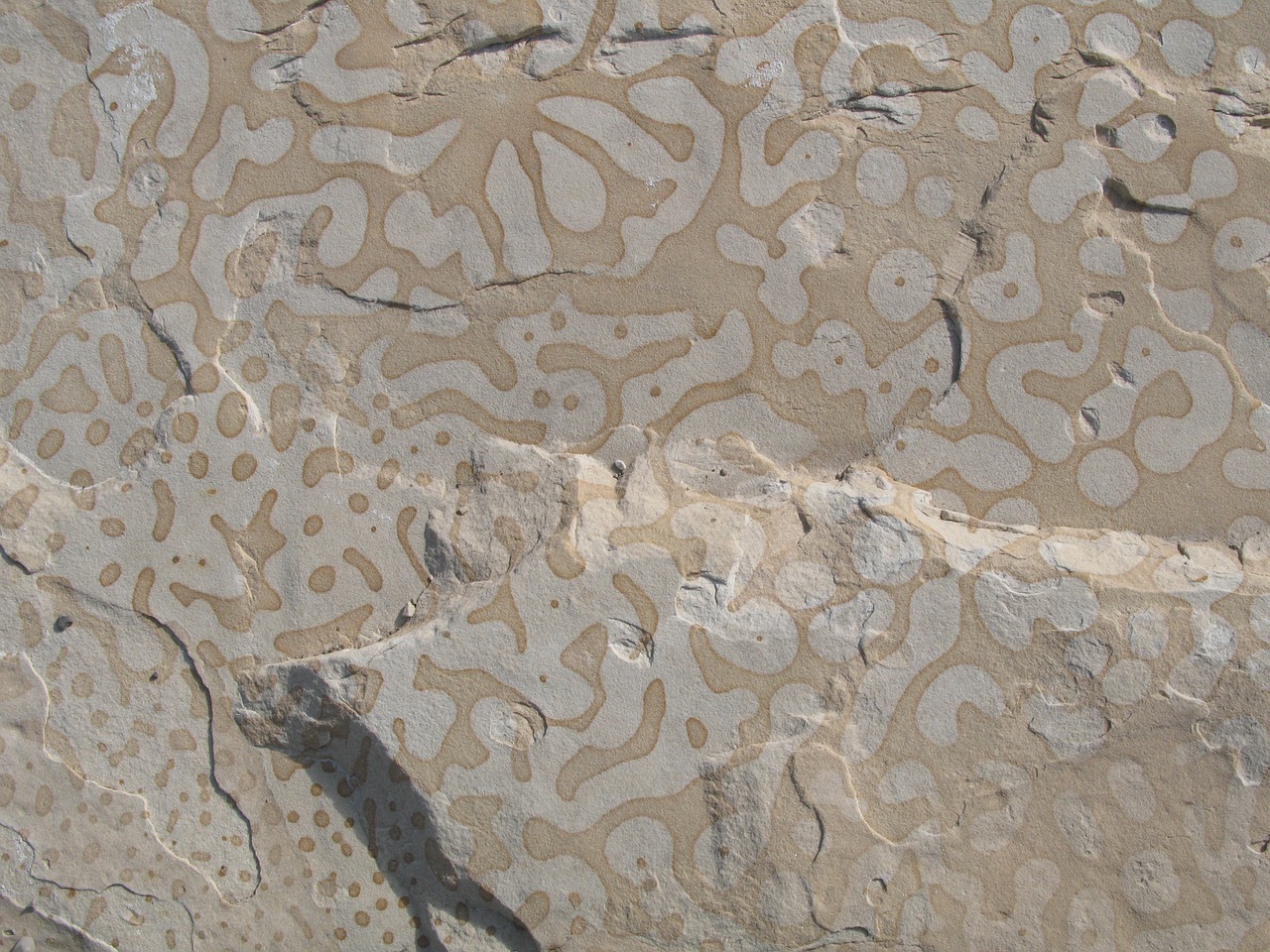 rock pattern design free photo