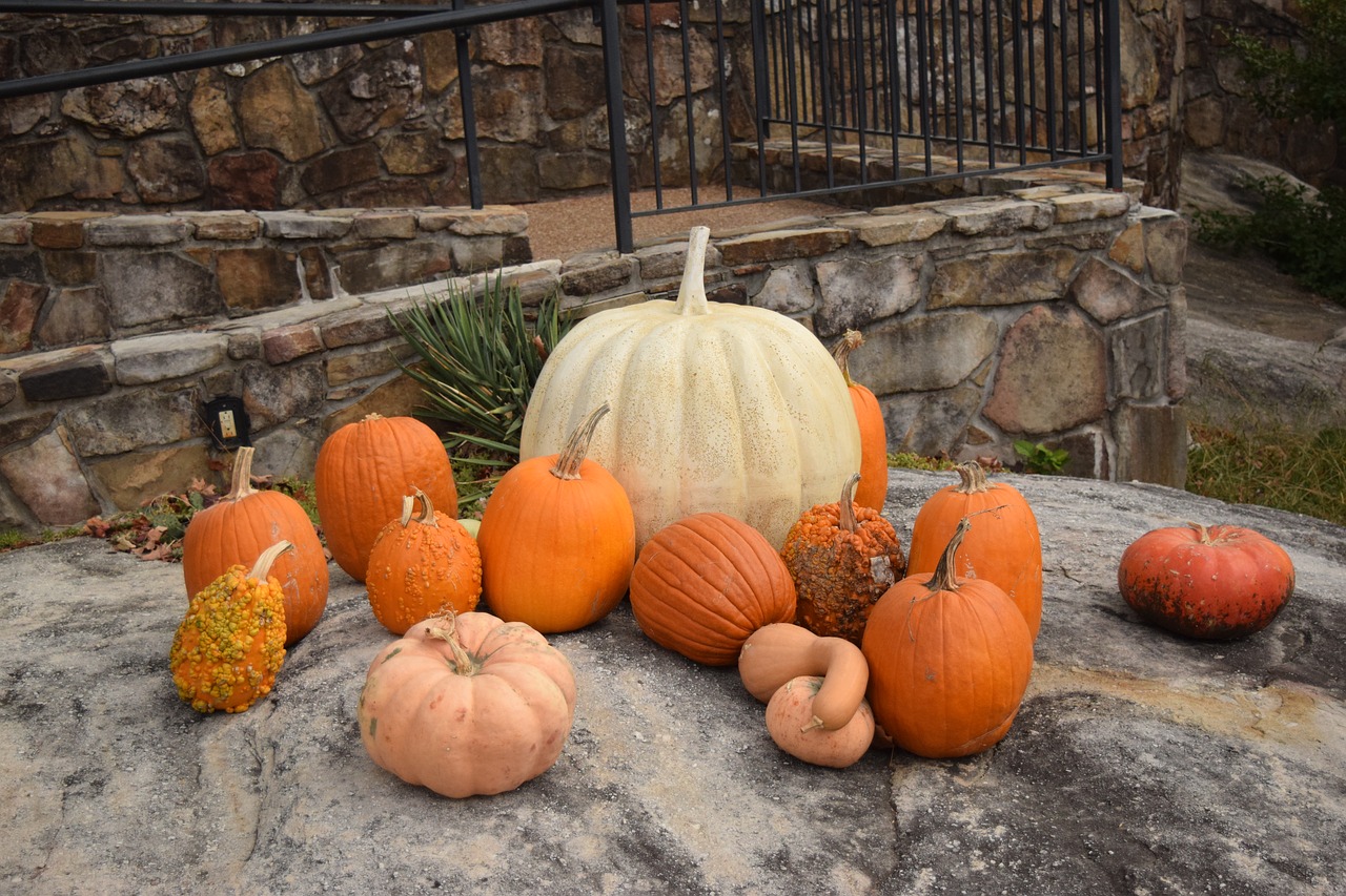 rock city  pumpkin  fall free photo