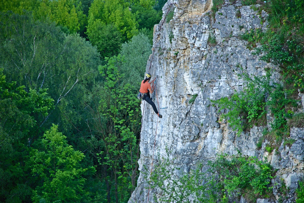 rock climber  sports  mountaineering free photo