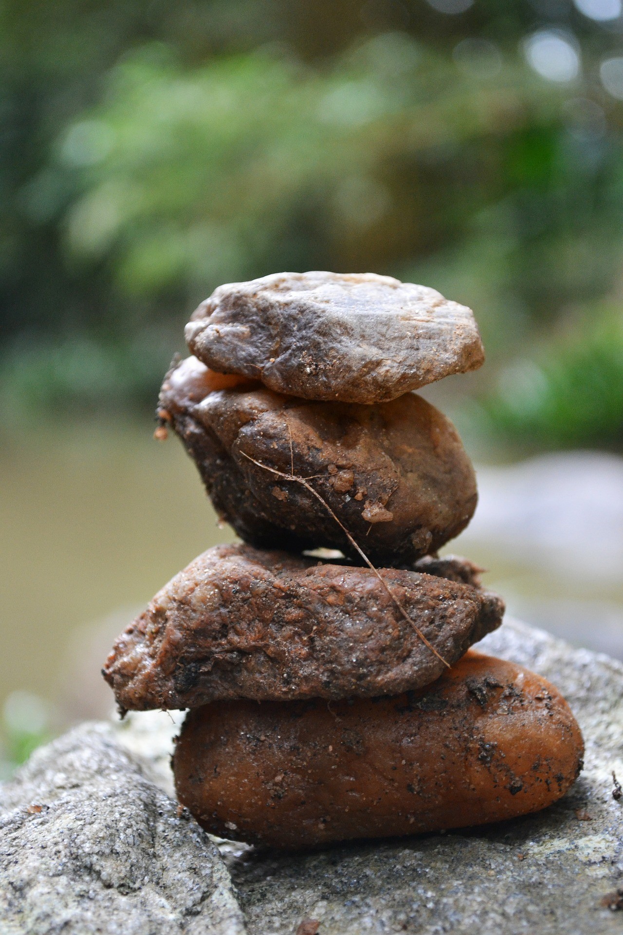 rock rocks river free photo