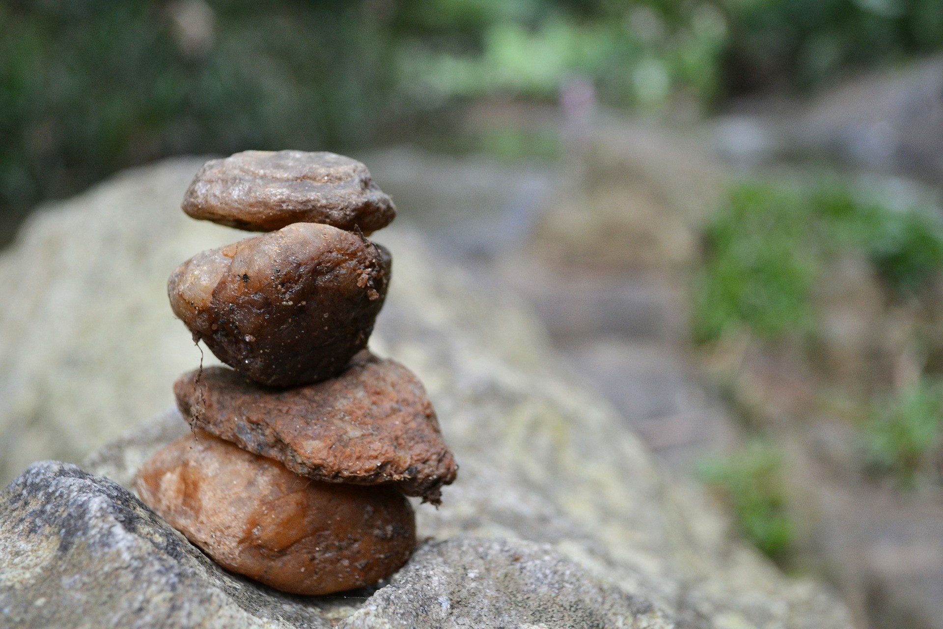 rock rocks river free photo