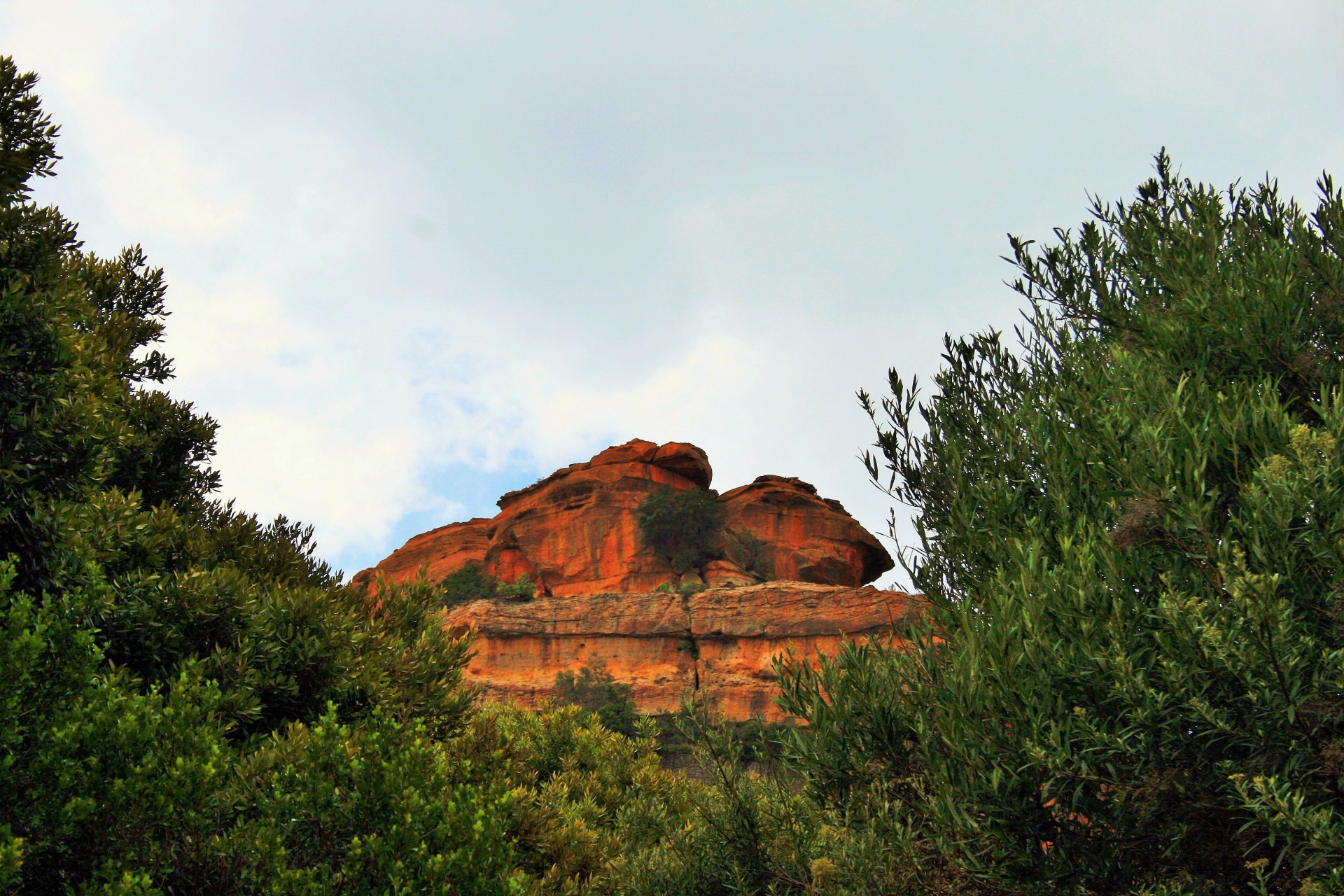 rock mountain bush free photo