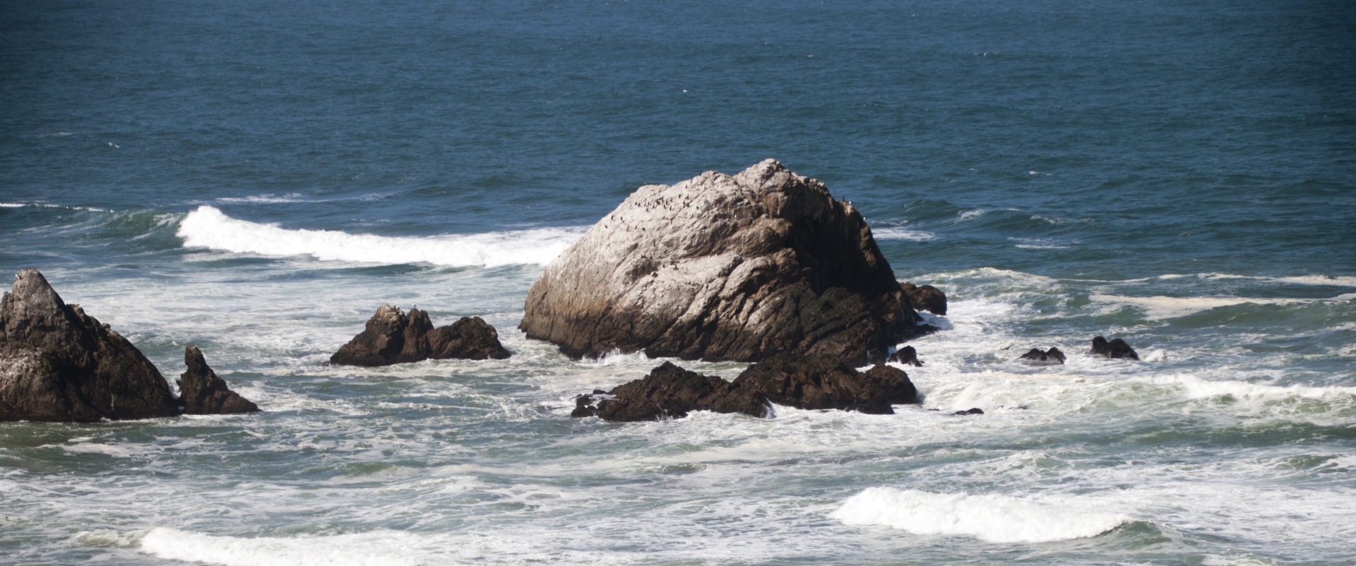 beach sea ocean free photo