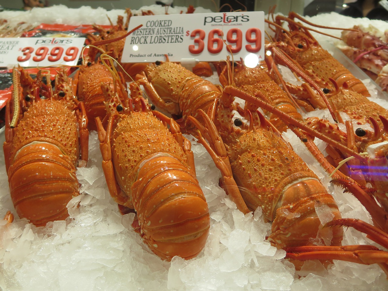 rock lobster cook food free photo