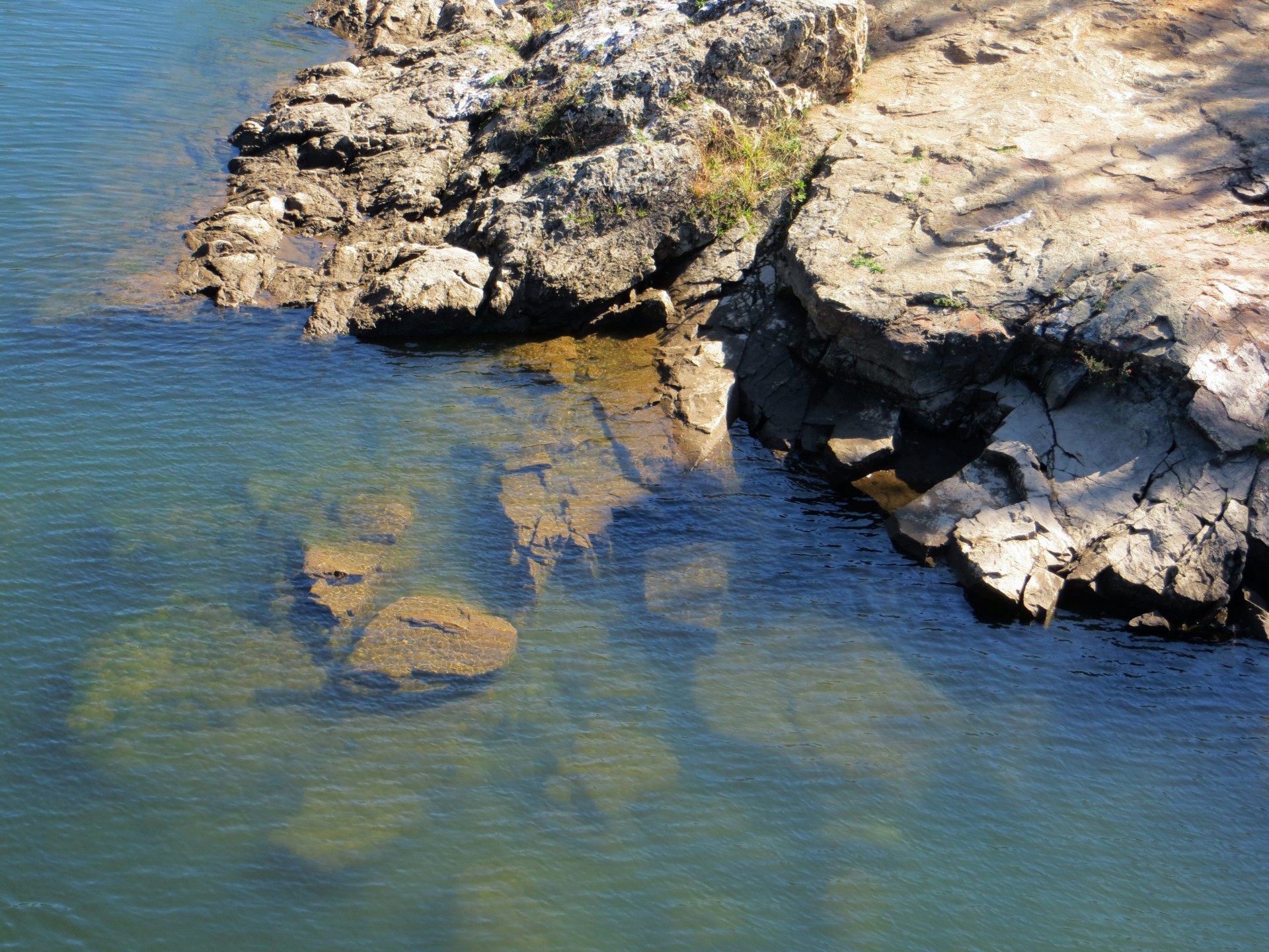 rocks water edge free photo