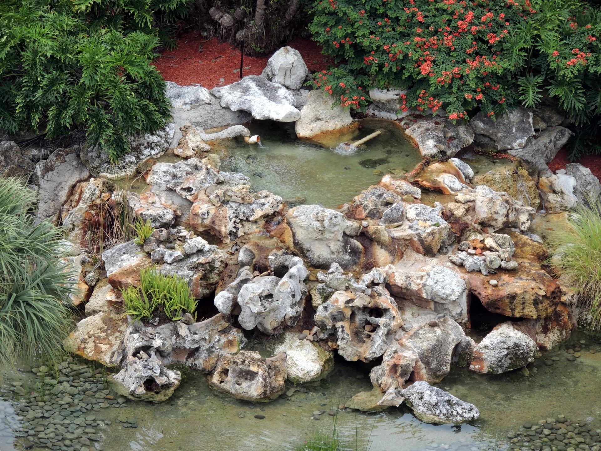 rock pond landscape free photo