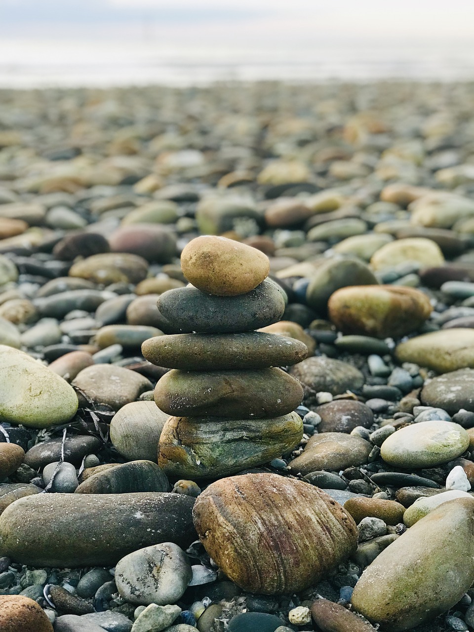 rock stack  beach  rocks free photo