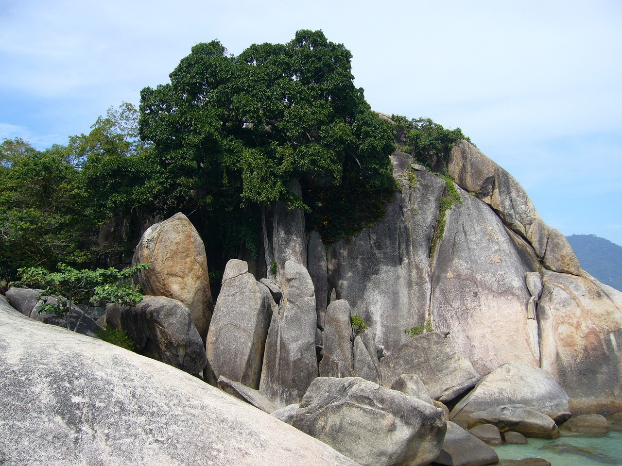 rock star grandmother rock the island free photo