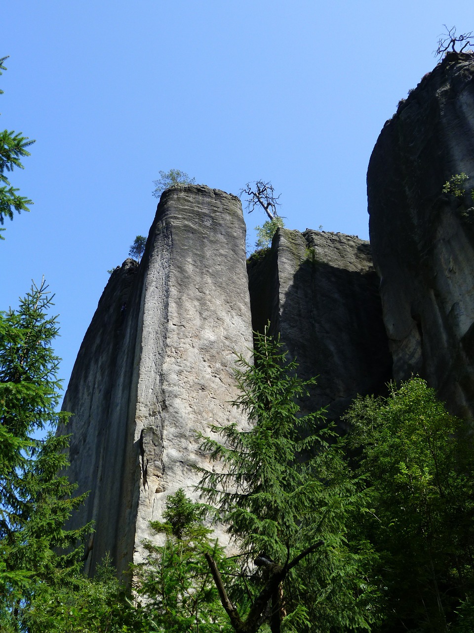 rock wall trees stone free photo