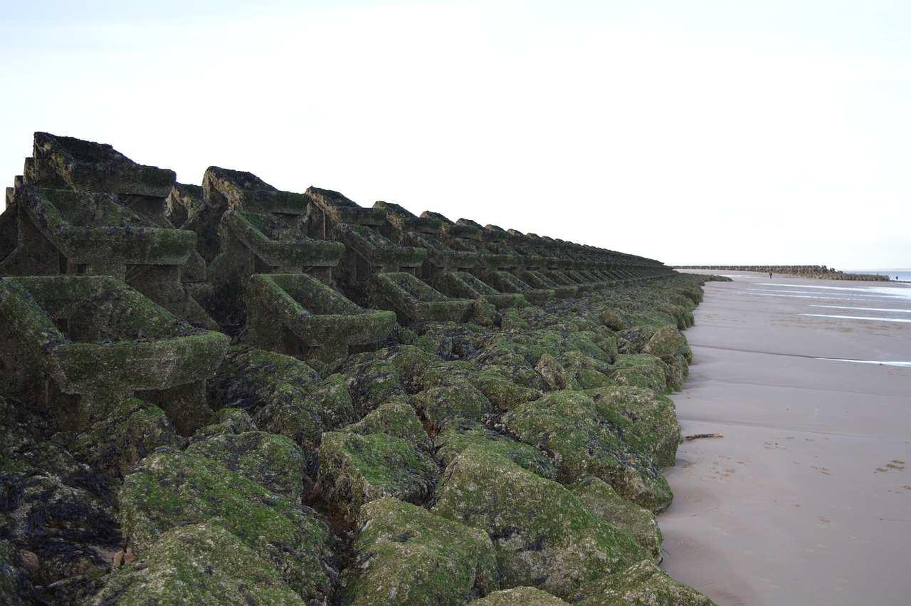 rocks beach breakwater free photo