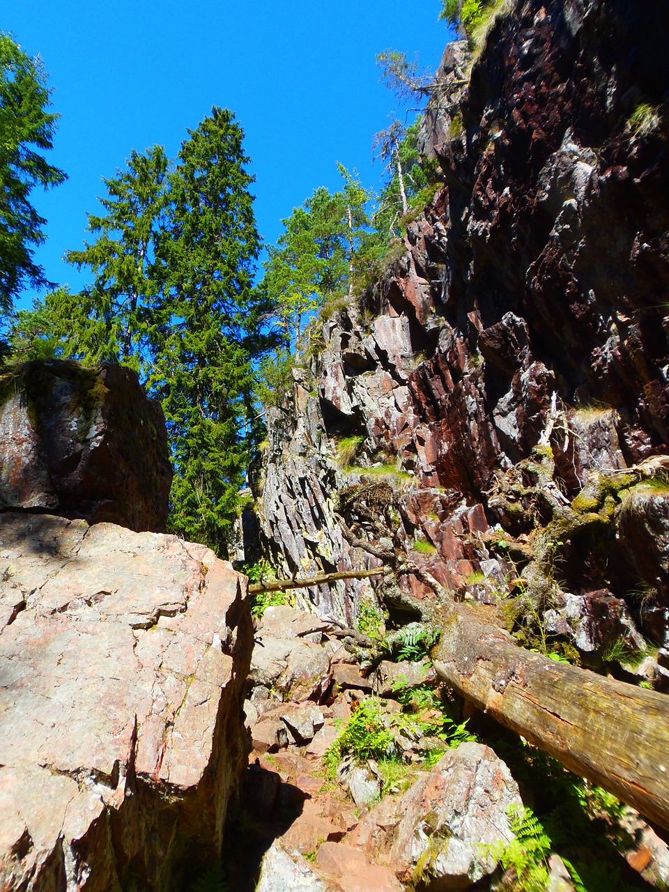 sweden natural reservation rocks free photo