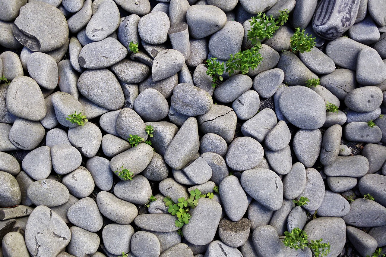 rocks stones background free photo