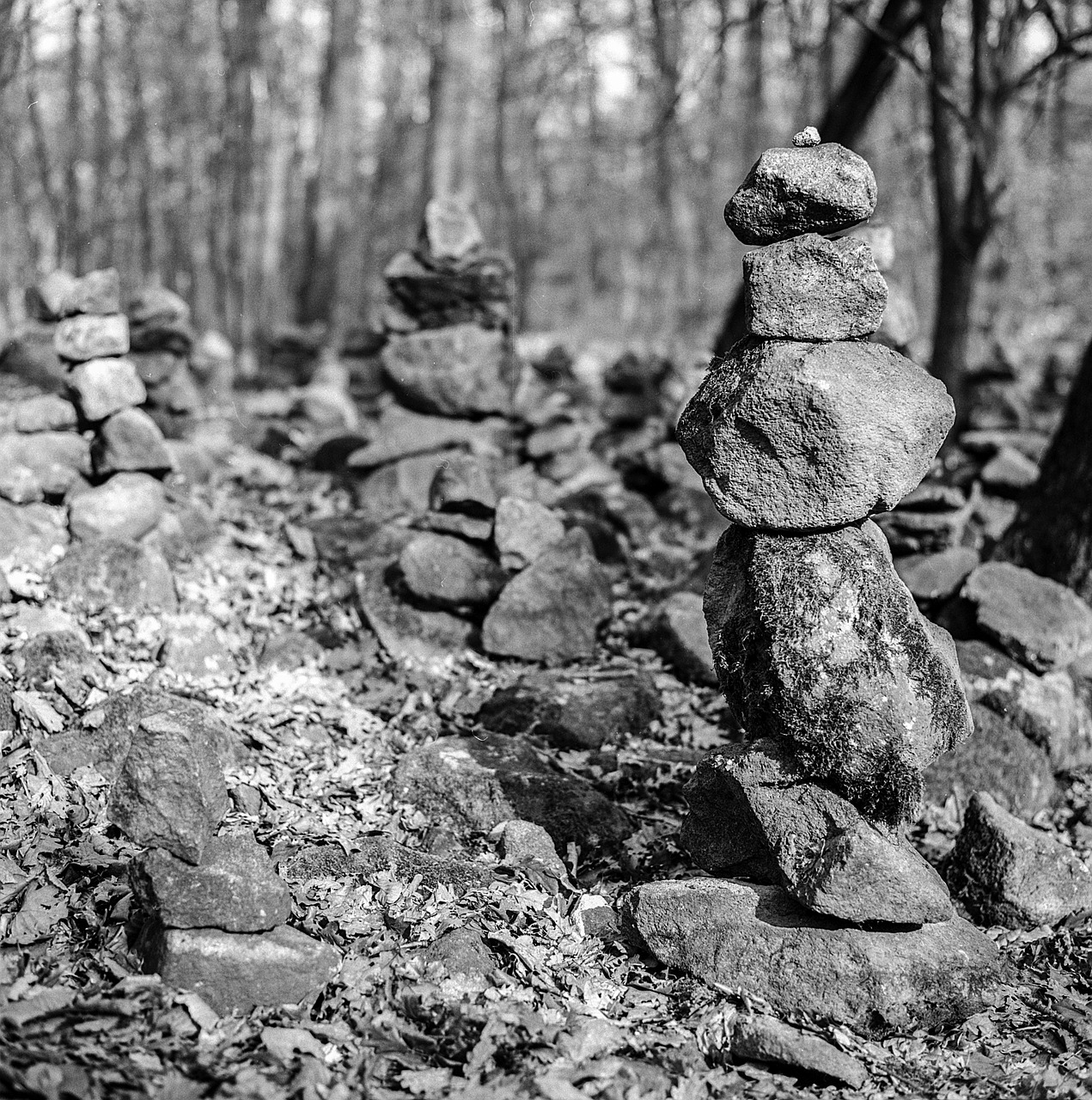 rocks balancing nature free photo