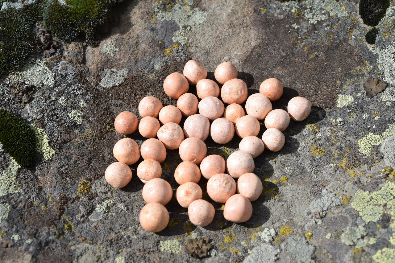 rocks balls marbles free photo