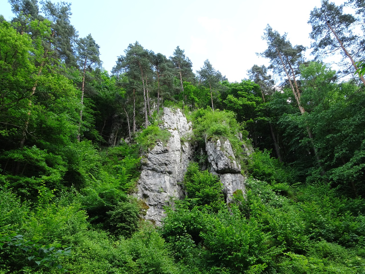 rocks tree landscape free photo