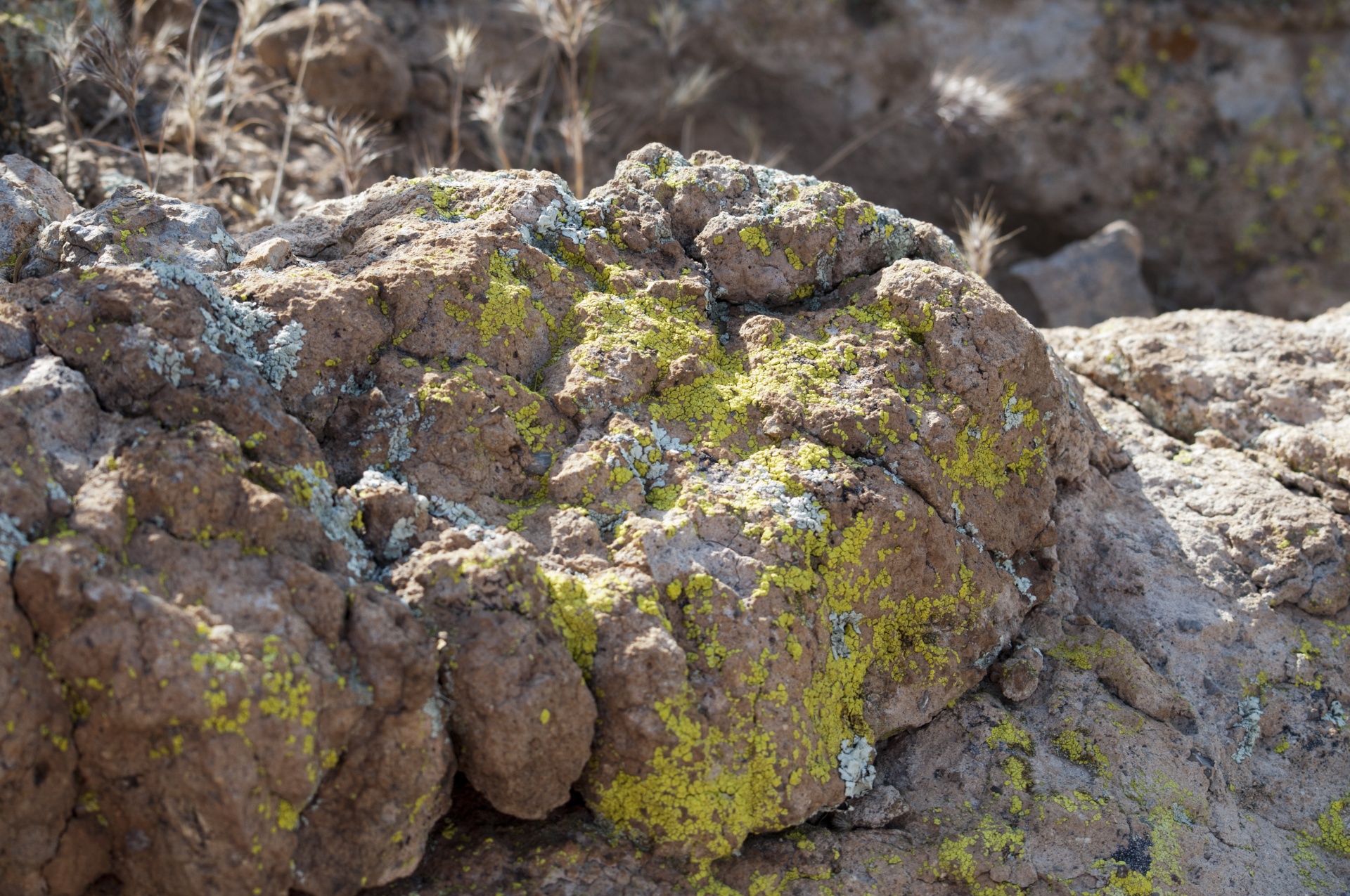 rock rocks moss free photo