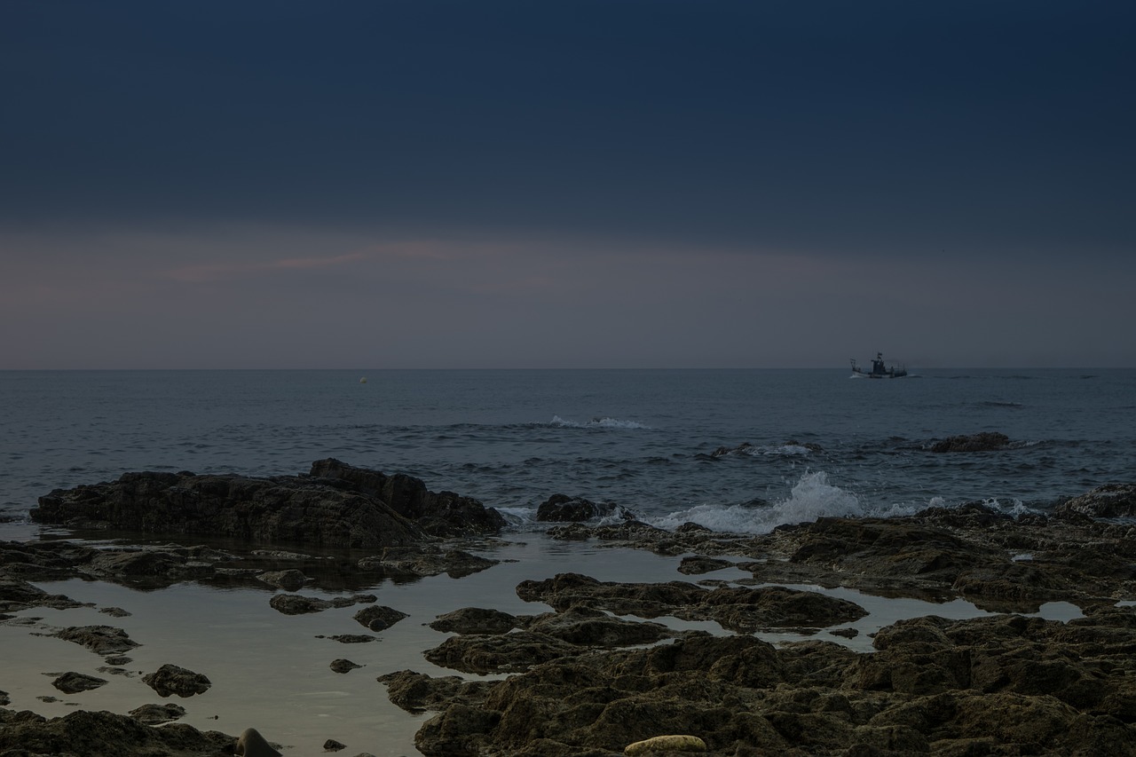 rocks sea horizon free photo