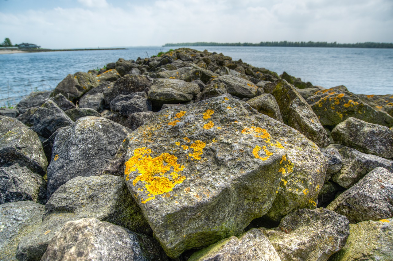 rocks water ocean free photo