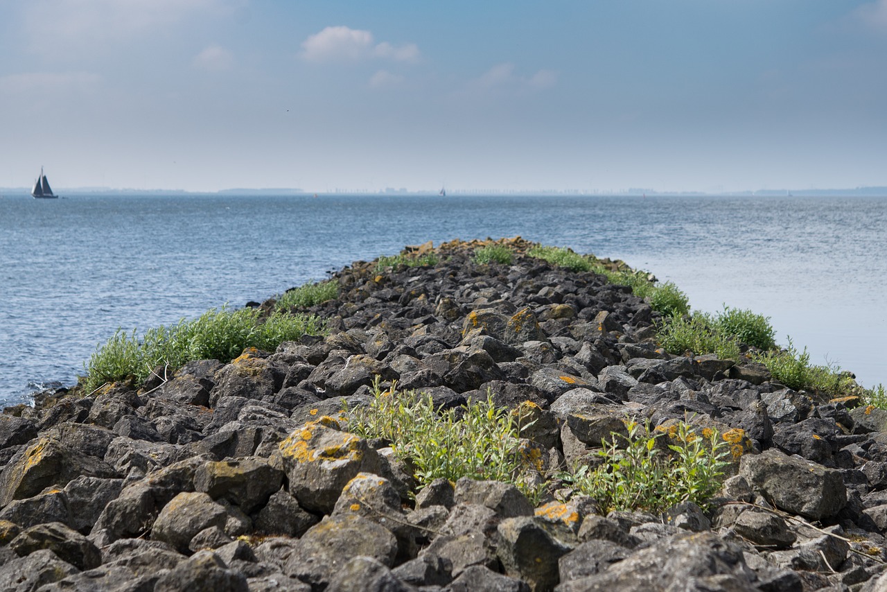 rocks water ocean free photo